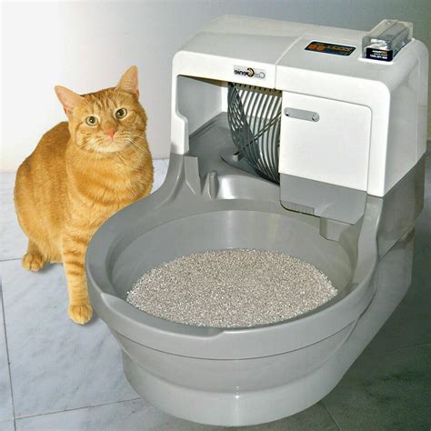 cat litter that cleans itself